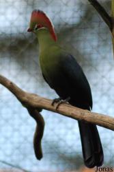 Parc Zoologique et Botanique de Mulhouse