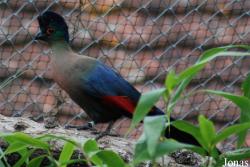 Parc Zoologique et Botanique de Mulhouse