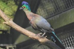 Parc Zoologique et Botanique de Mulhouse