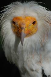 Parc Zoologique et Botanique de Mulhouse