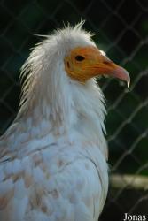 Parc Zoologique et Botanique de Mulhouse