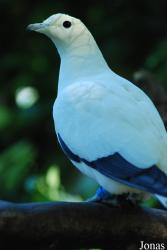 Parc Zoologique et Botanique de Mulhouse
