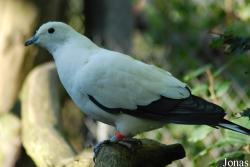 Parc Zoologique et Botanique de Mulhouse