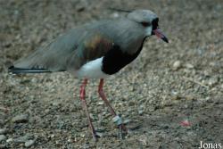 Parc Zoologique et Botanique de Mulhouse