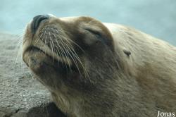 Zoo am Meer Bremerhaven