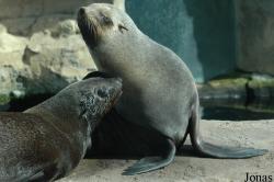 Zoo am Meer Bremerhaven