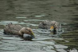 Zoo am Meer Bremerhaven