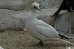 Zoo am Meer Bremerhaven