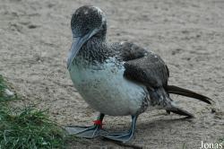 Zoo am Meer Bremerhaven