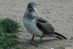 Zoo am Meer Bremerhaven