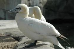 Zoo am Meer Bremerhaven