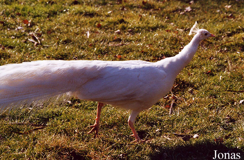 Parc Zoologique des Abrets