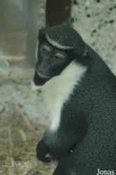 Tierpark Gettorf