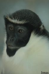 Tierpark Gettorf