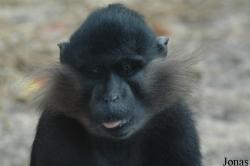 Tierpark Gettorf