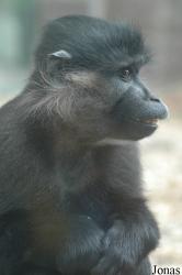 Tierpark Gettorf