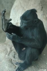 Tierpark Gettorf