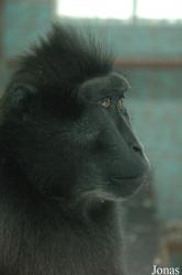 Tierpark Gettorf