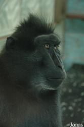Tierpark Gettorf