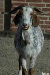 Tierpark Gettorf