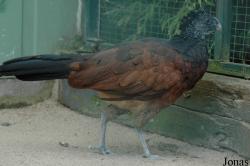 Tierpark Gettorf