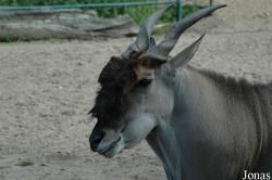 Tierpark Gettorf