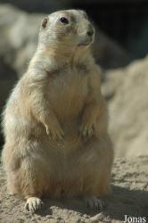 Tierpark Gettorf