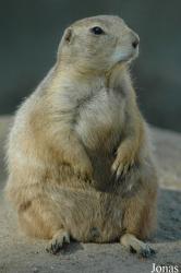 Tierpark Gettorf