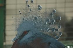 Tierpark Gettorf