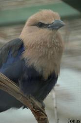 Tierpark Gettorf