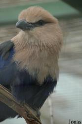 Tierpark Gettorf