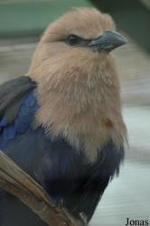 Tierpark Gettorf