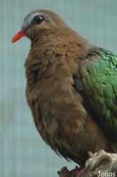 Tierpark Gettorf