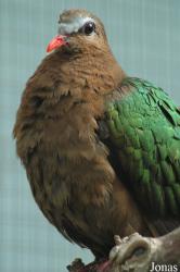 Tierpark Gettorf