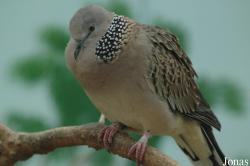 Tierpark Gettorf