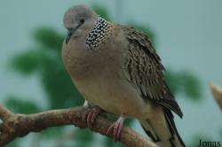 Tierpark Gettorf