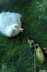 Tierpark Gettorf