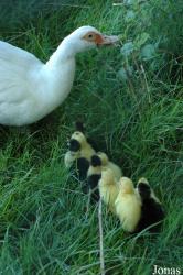 Tierpark Gettorf