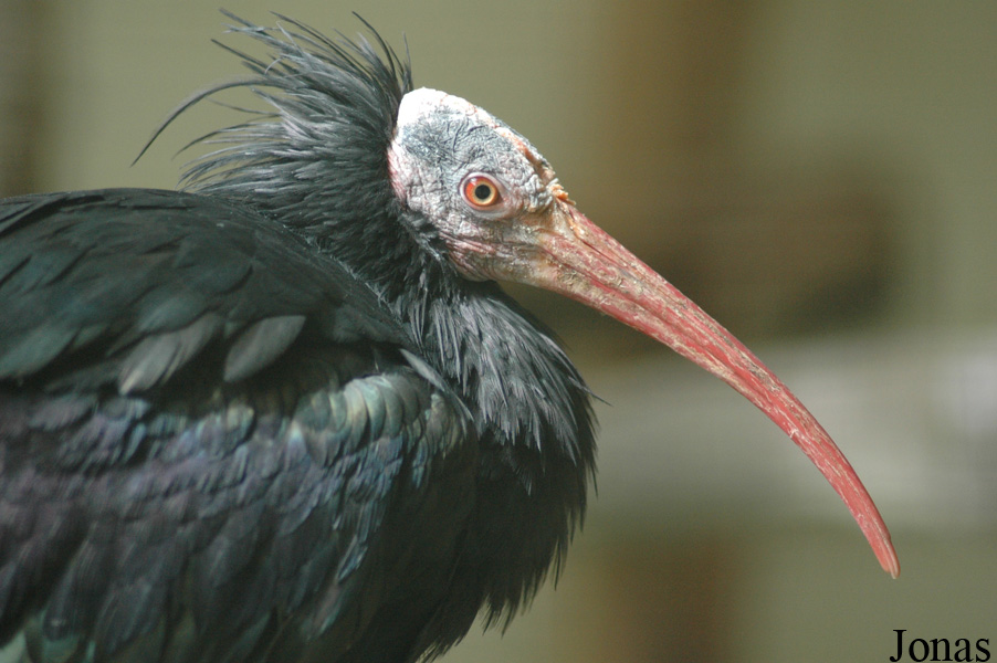 Tierpark Neumünster
