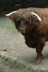 Tierpark Neumünster