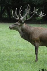 Wildpark Eekholt