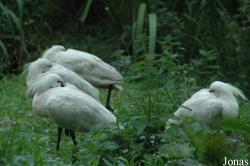 Wildpark Eekholt