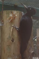 Wildpark Eekholt