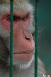 Zoo Arche Noah