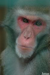 Zoo Arche Noah