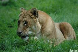 Zoo Arche Noah
