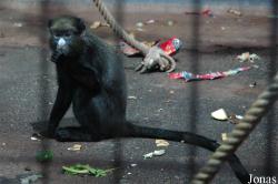 Zoo Duisburg