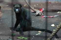 Zoo Duisburg