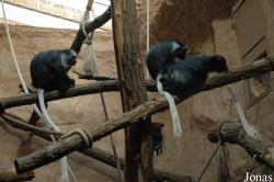 Zoo Duisburg