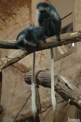 Zoo Duisburg